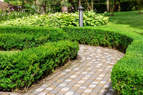 Cost of Paved Landscaping in Reno