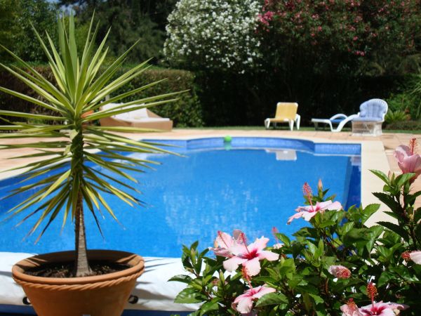 Cost of Pool Terrace Renovation in Reno