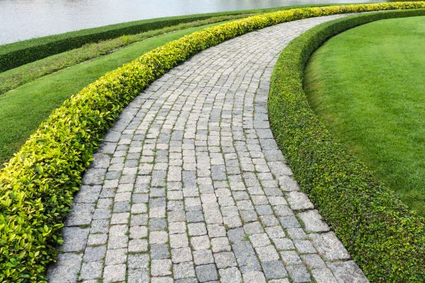Sidewalk Pavers Installation in Reno